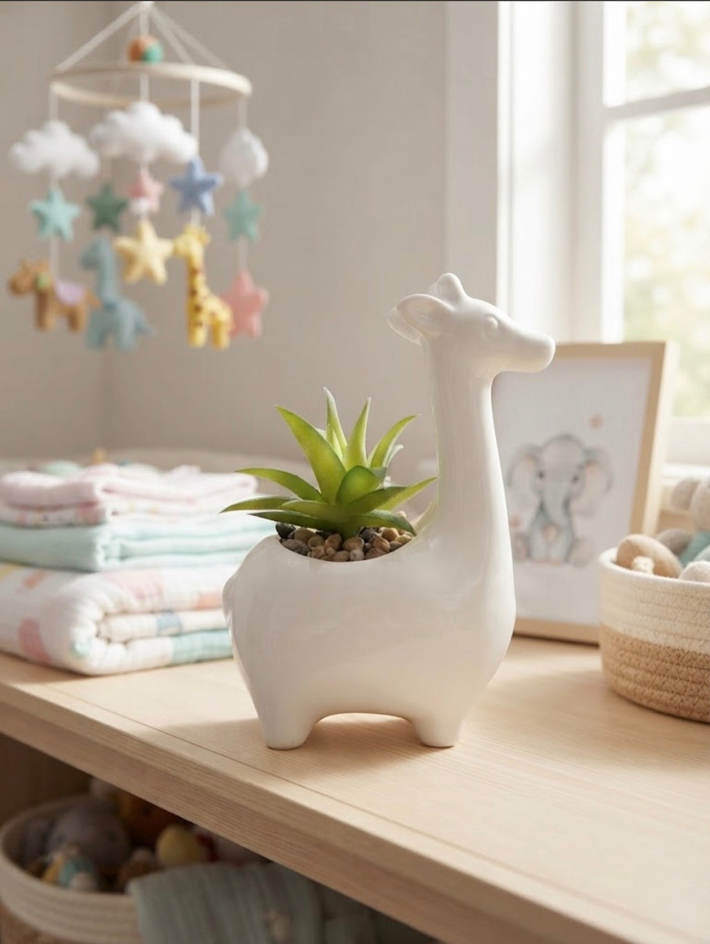Giraffe Succulent