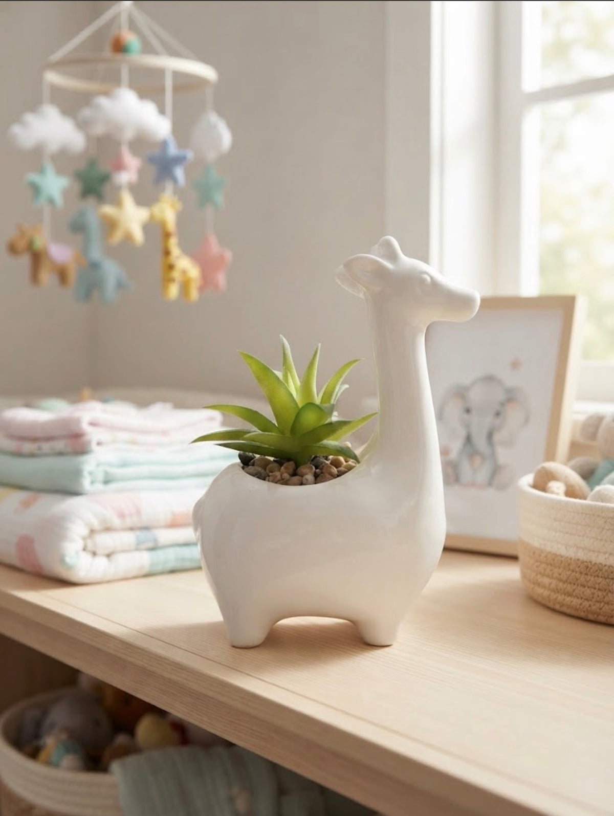 Giraffe Succulent