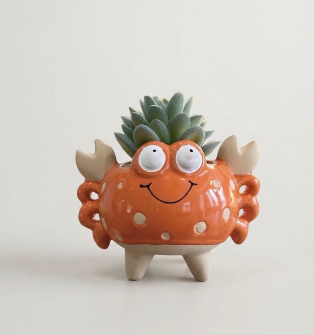 Crab Succulent