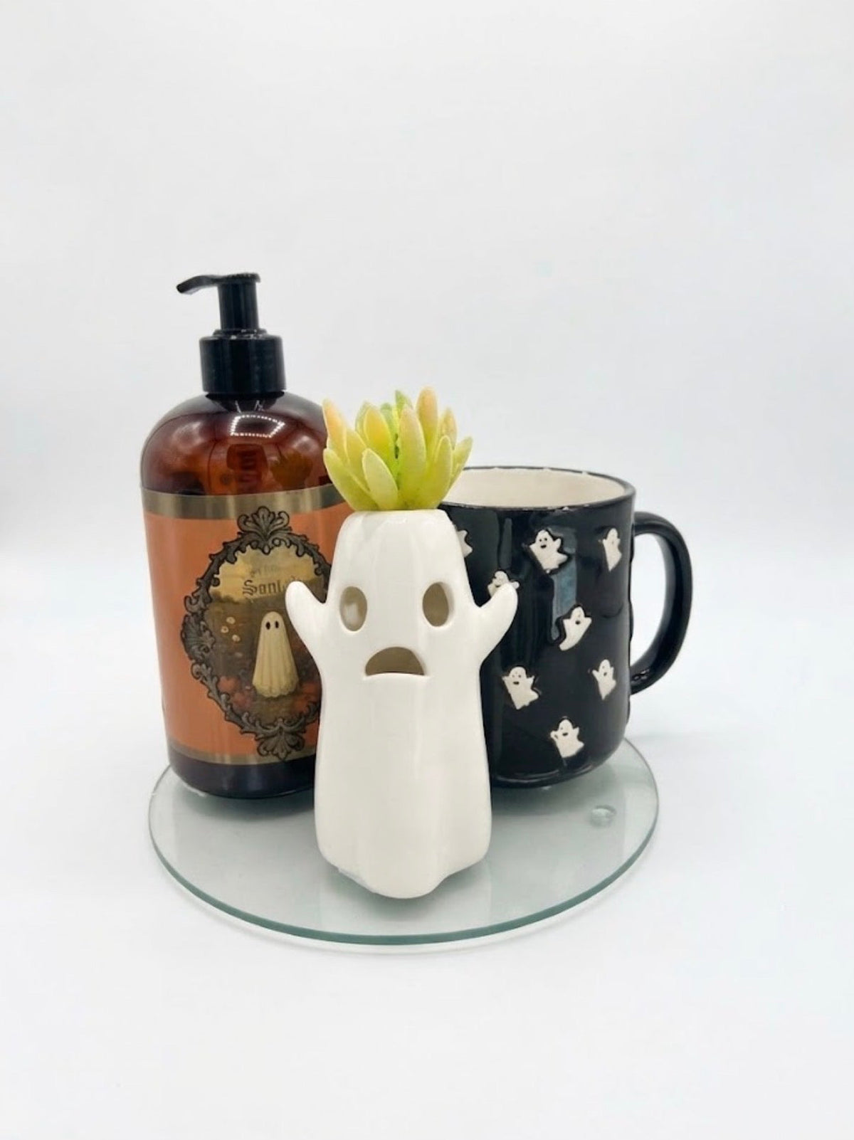 Ghost Succulent Set