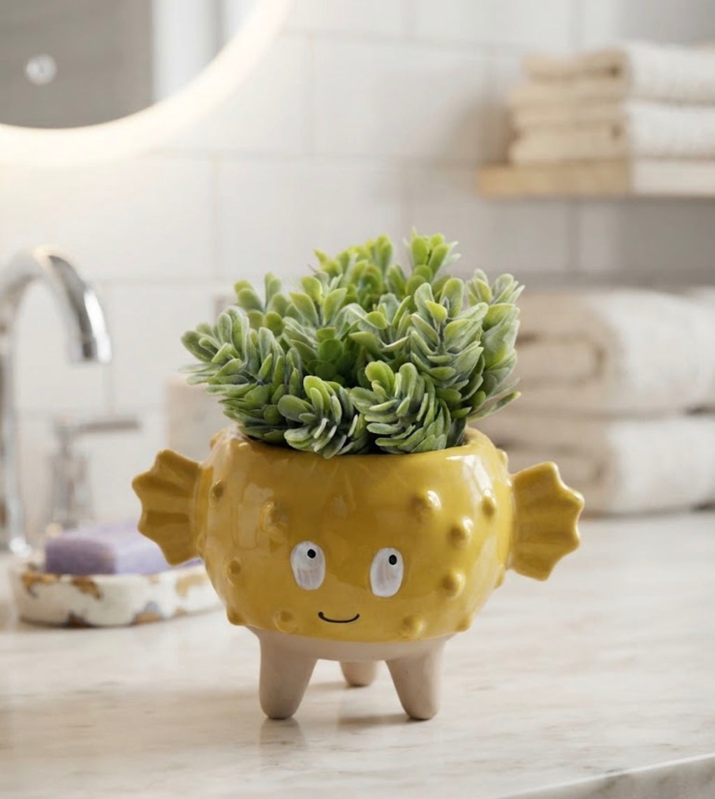 Puffer Fish Succulent